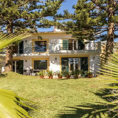 Echium T2 * カニコ