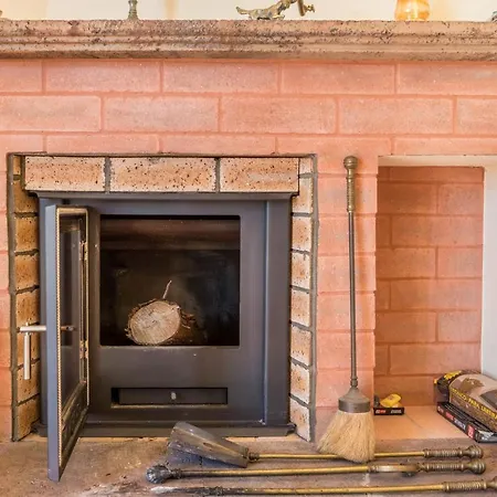 Echium T2 * Canico (Madeira)