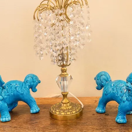 Echium T2 Canico (Madeira)