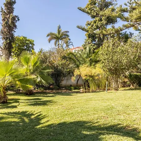 Apartment Echium T2 Canico (Madeira)