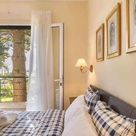 Echium T2 * Canico (Madeira)