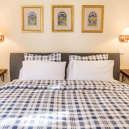 Echium T2 * Canico (Madeira)