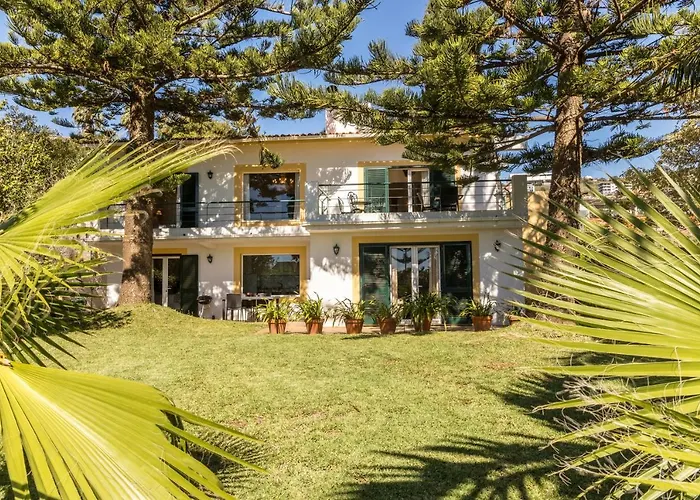 Echium T2 * كانيكو