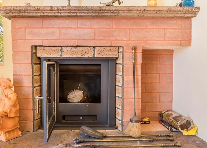 Echium T2 * كانيكو