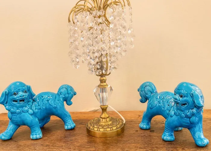 Echium T2 كانيكو