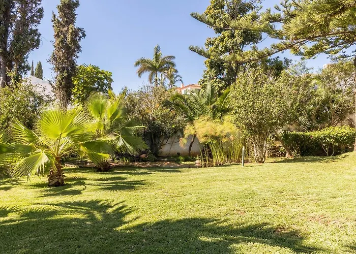 شقة Echium T2 كانيكو