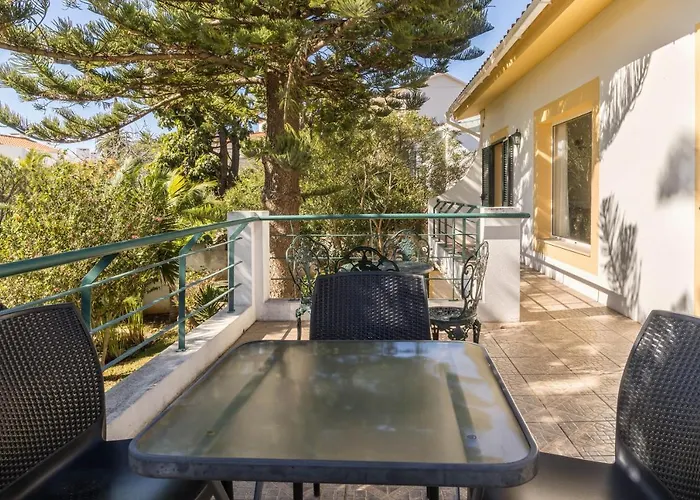 Echium T2 كانيكو