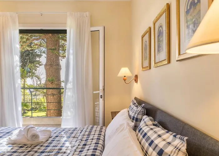 Echium T2 * كانيكو