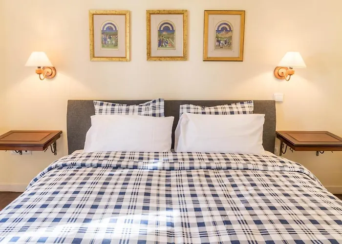 Echium T2 * كانيكو